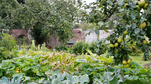 Parc yr Esgob in Abergwili, Carmarthenshire