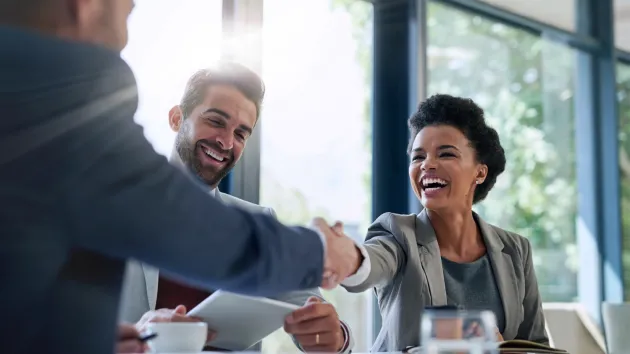 Business deal - hand shake 