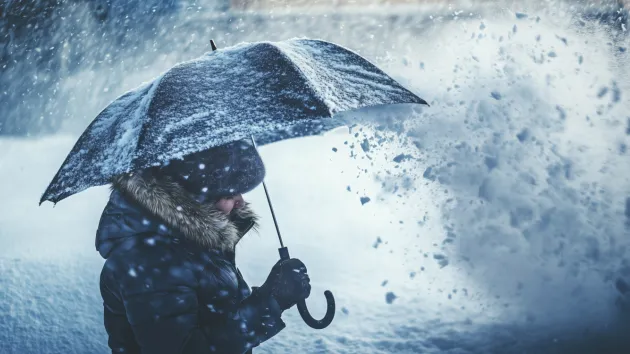 Person holding an umbrella in wintry weather