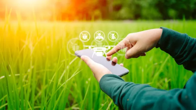 Smart Pest Management Farmer Smartphone Controls Chemicals for Pest Elimination