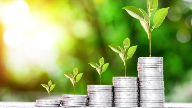 stacks of coins with plant shoots