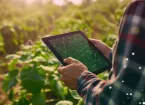 Farmer using a digital tablet looking at crops in a field