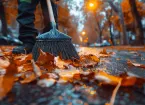 Autumn leaves on a wet road 