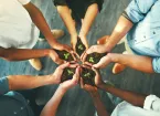 business growth -hands holding soil and seedlings 