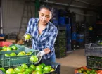 Farm shop worker in Latin america 