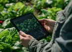 farmer with digital tablet looking at crops 