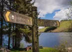 Clywedog reservoir, Glyndŵr's Way