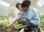 apprentice working in a greenhouse