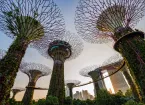 Supertree Gardens, Singapore