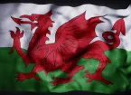 Welsh Flag 