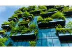green business - high rise business with living walls - plants 