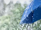 Heavy rain and blue umbrella 