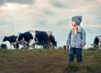 boy in knitted scarf and hat is looking at a herd of cows in the country