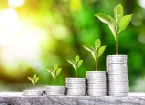 stacks of coins with plant shoots