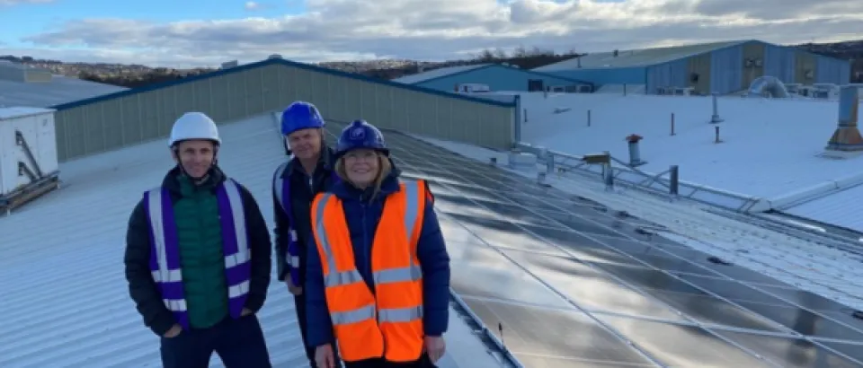 Something Different Wholesale