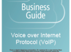 Voice Over IP (VoIP)