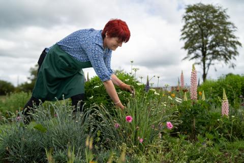 Sara Redman of The Flower Meadow working