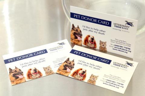 Veterinary Tissue Bank contact cards.