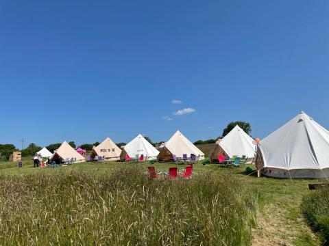 Bell tents lined up in a field on a sunny day