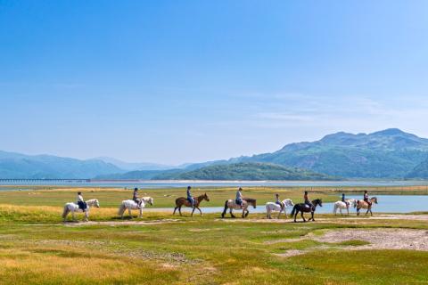 Group horse riding near Fairbourne with Mawddach estuary and mountains in background 