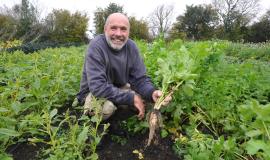 image of william roberts in a vegetable field holding a parsnip