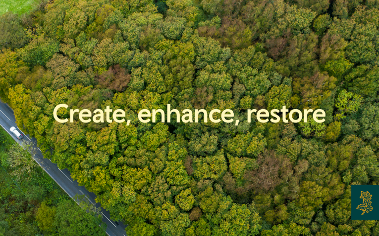 Create, restore and enhance