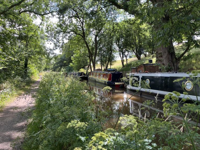 Canals, Communities and Wellbeing public engagement