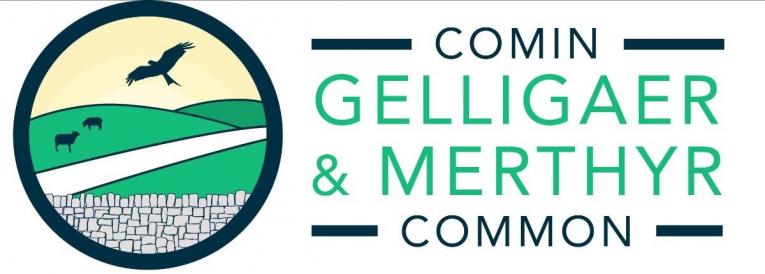 Comin Gelligaer and Merthyr Common