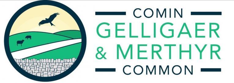 Comin Gelligaer and Merthyr Common_0