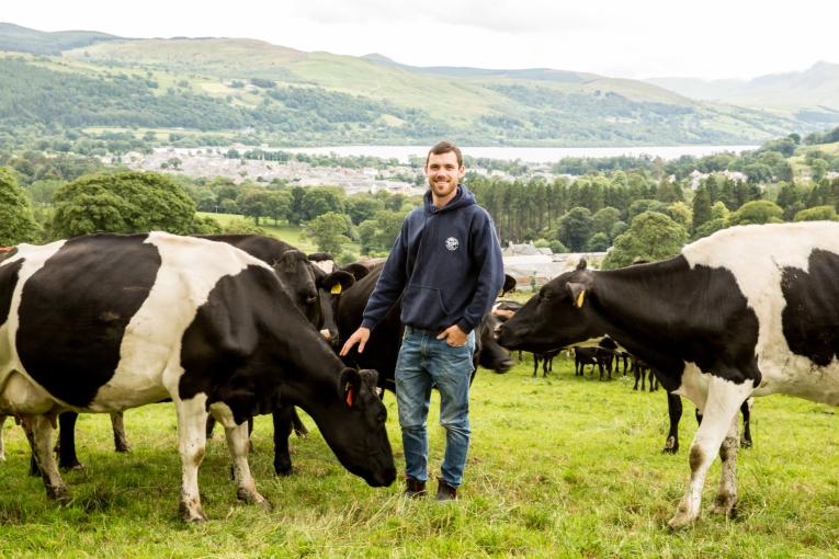 Eurof Edwards, Rhydeden Farm is harnessing the power of genomics in a bid to accelerate genetic progress in its split block calving herd