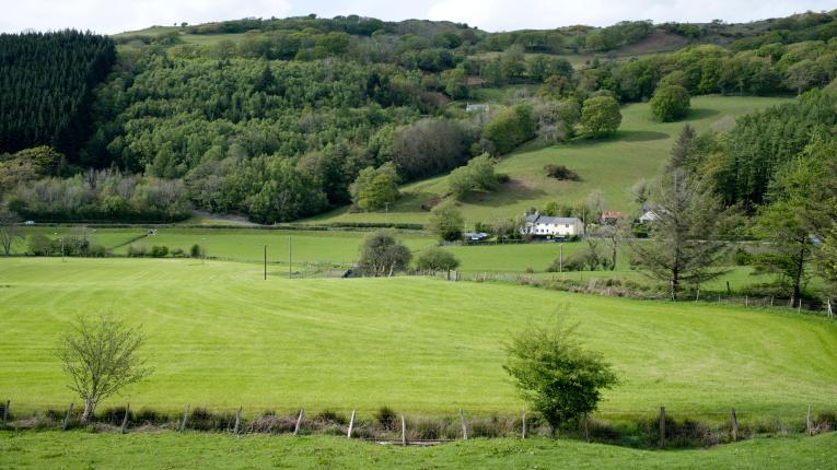 Farmhouse and fields