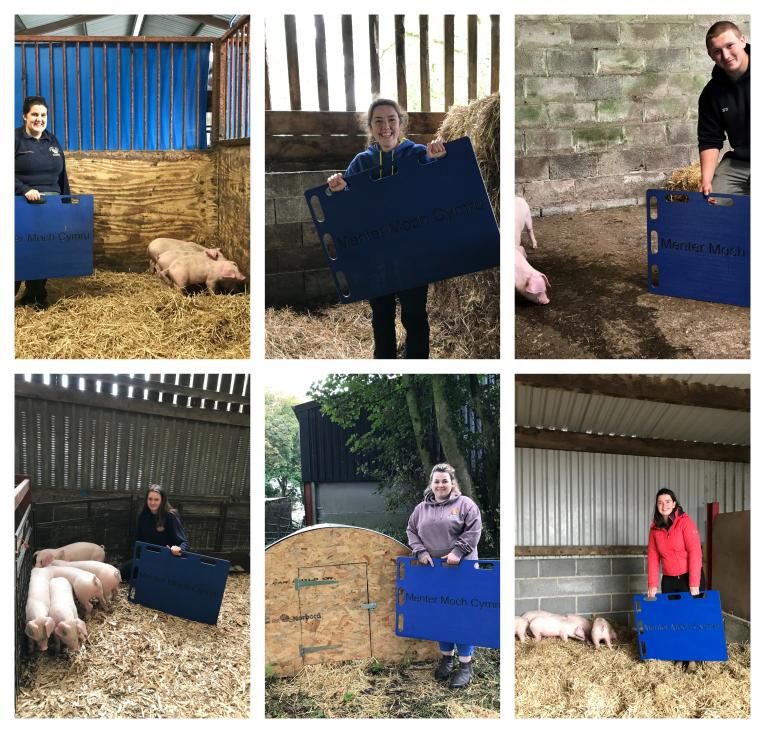 The finalists in the Menter Moch Cymru & Wales YFC Pig Finishing Initiative 2020 