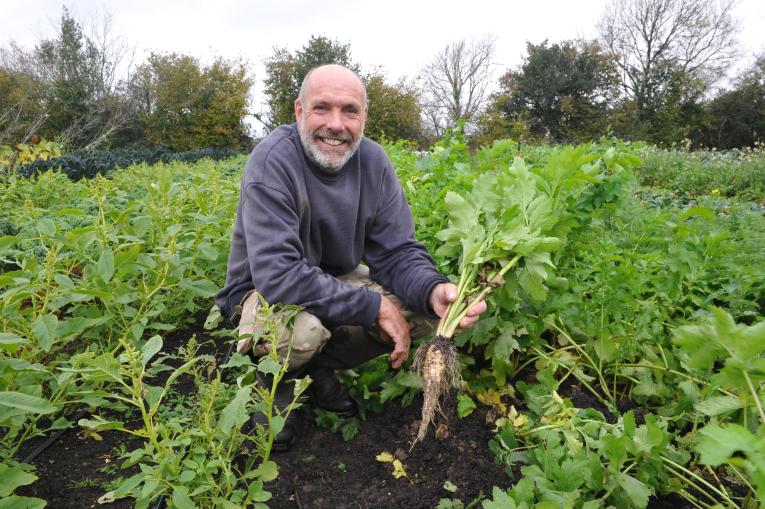 image of william roberts in a vegetable field holding a parsnip