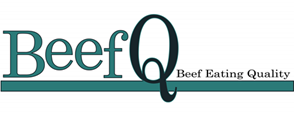 logo BeefQ 