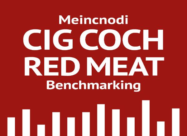 Red Meat Benchmarking Image