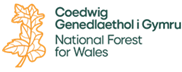 national forest logo