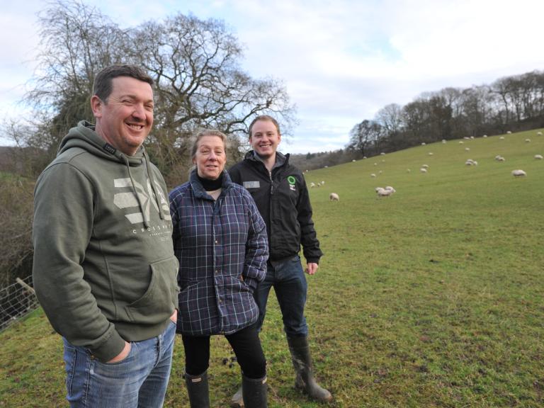 Feeding pregnant ewes TMR boosts lamb performance at Powys farm