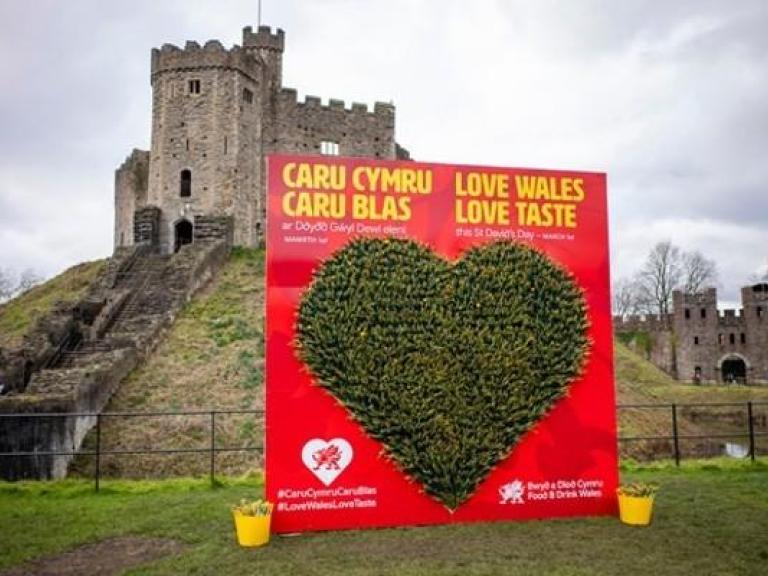 Daffodil Heart Display Demonstrates Love for Welsh Food & Drink on St David’s Day