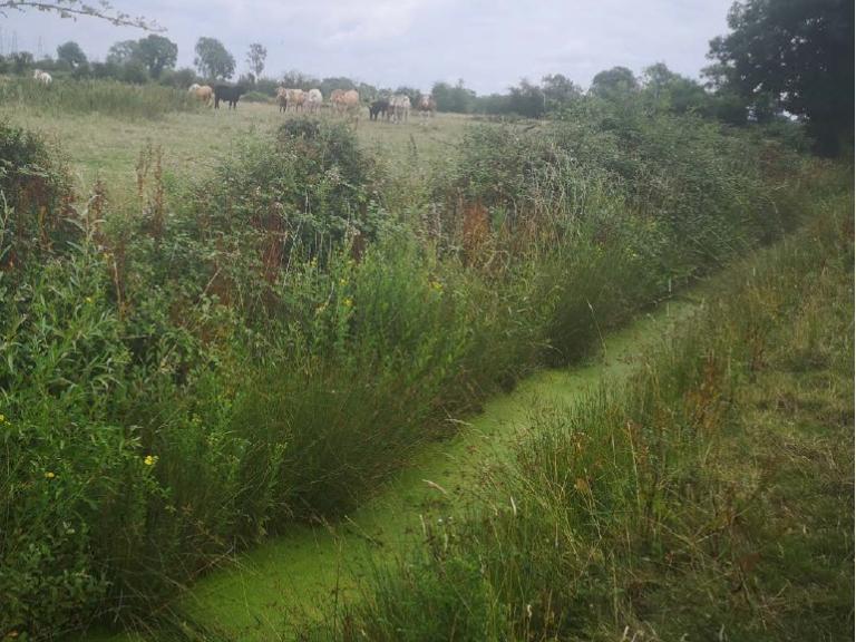 Farming the Gwent Levels Sustainably