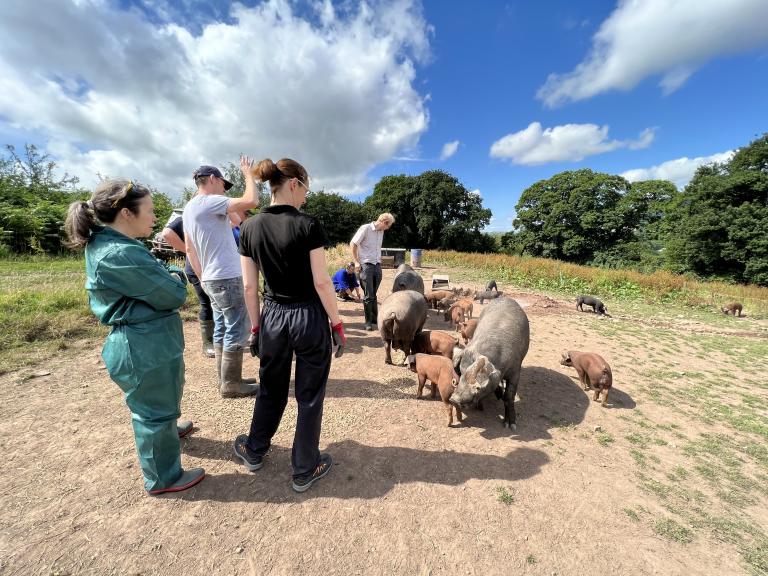 Welsh Vets on the Menter Moch Cymru Pig CPD course at Forest Coalpit Farm