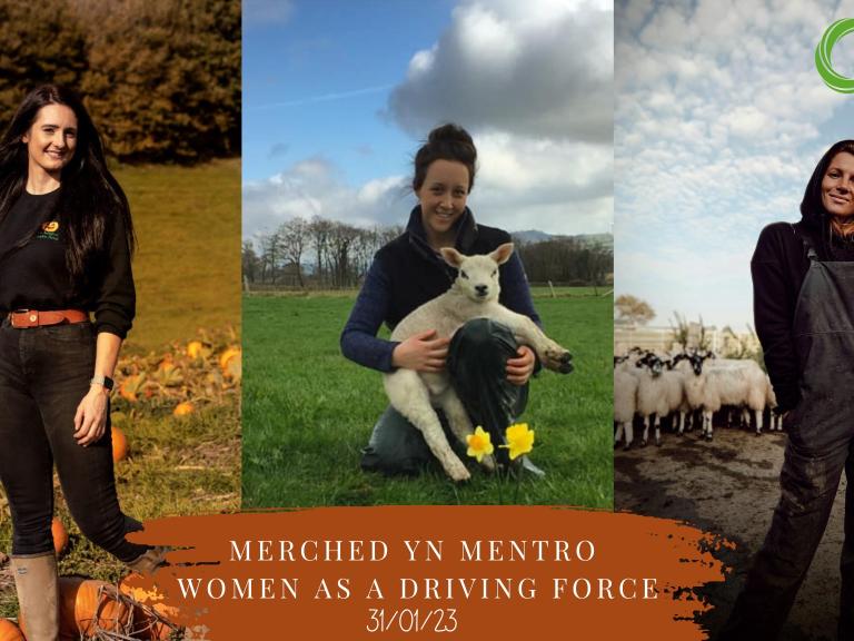 Merched yn Mentro - Women as a driving force