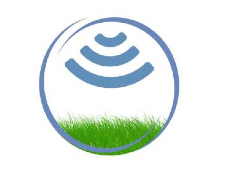 Satellite grass logo web