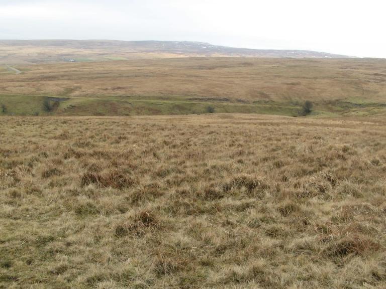 image of empty common land in Wales