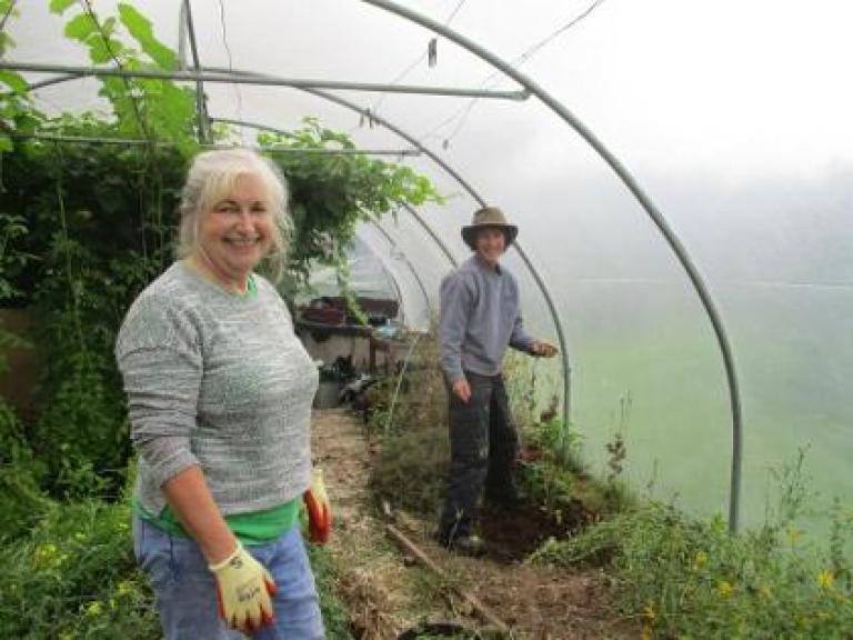image of a volunteer working in a poly tunnel 