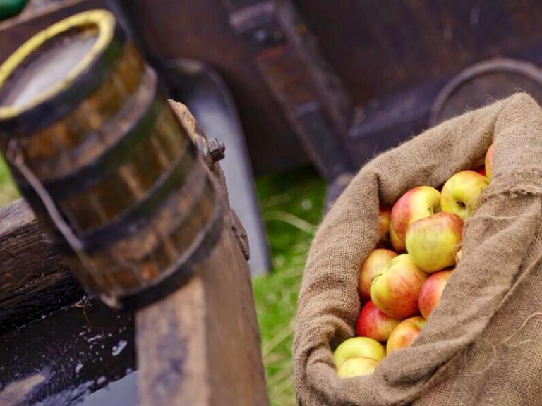 sack of apples
