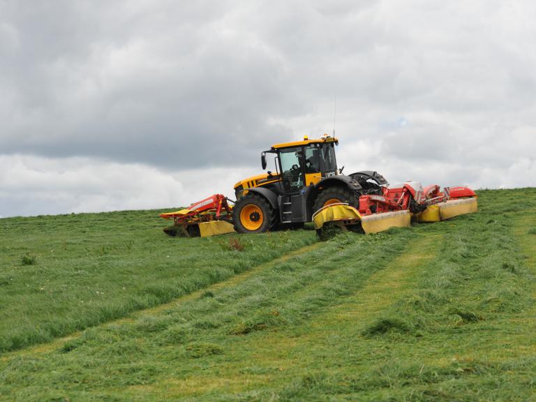 Mowing silage