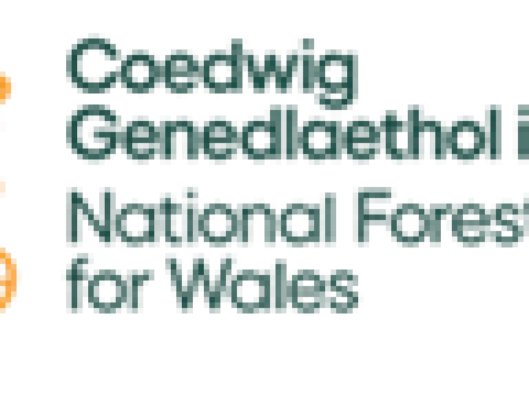 national forest logo