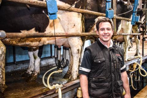 Andrew milking cows