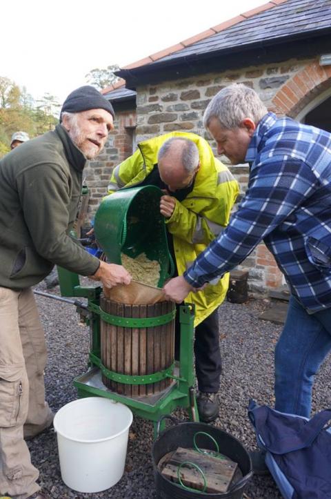 pulping apples
