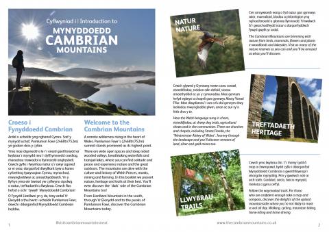 Cambrian Futures pocket guide